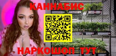стаф Кулебаки