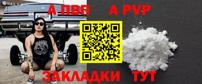 стаф Кулебаки